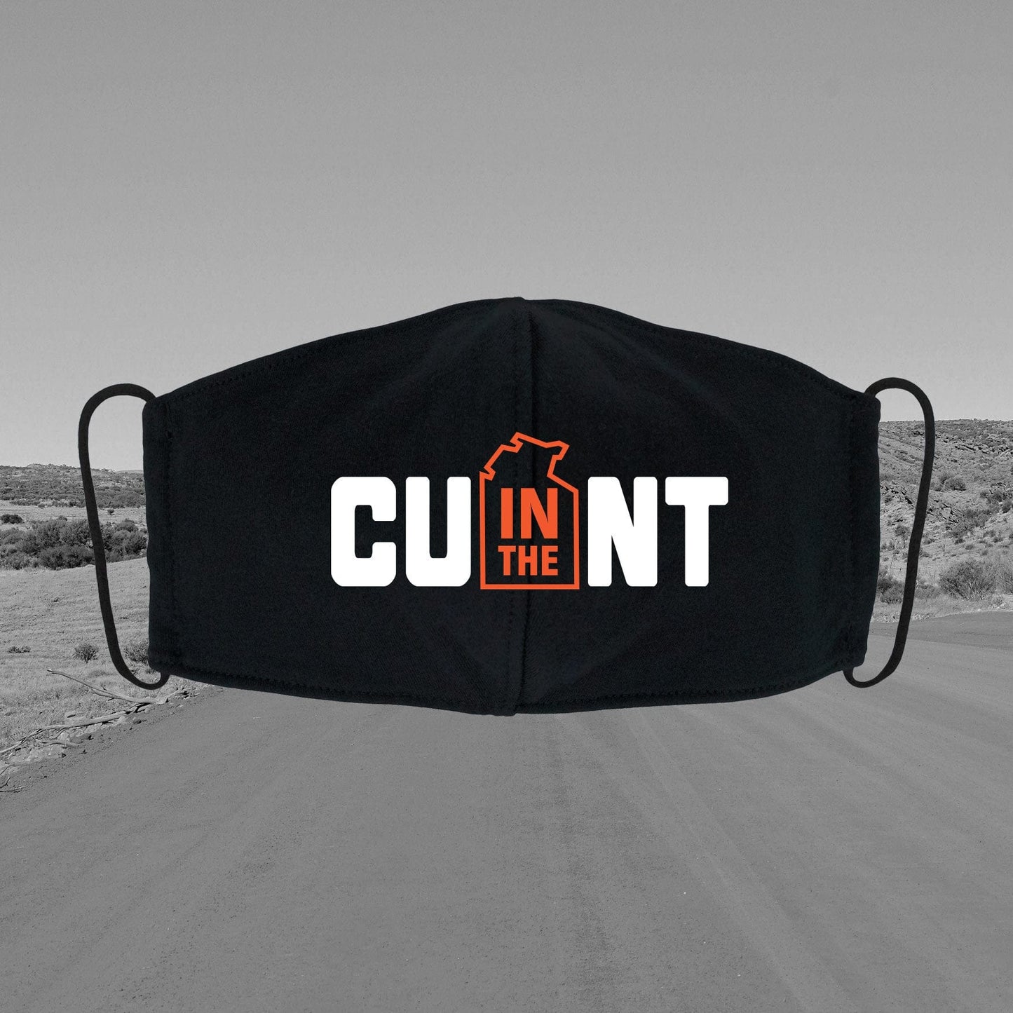 CU in the NT Mask Accessories NT Unofficial