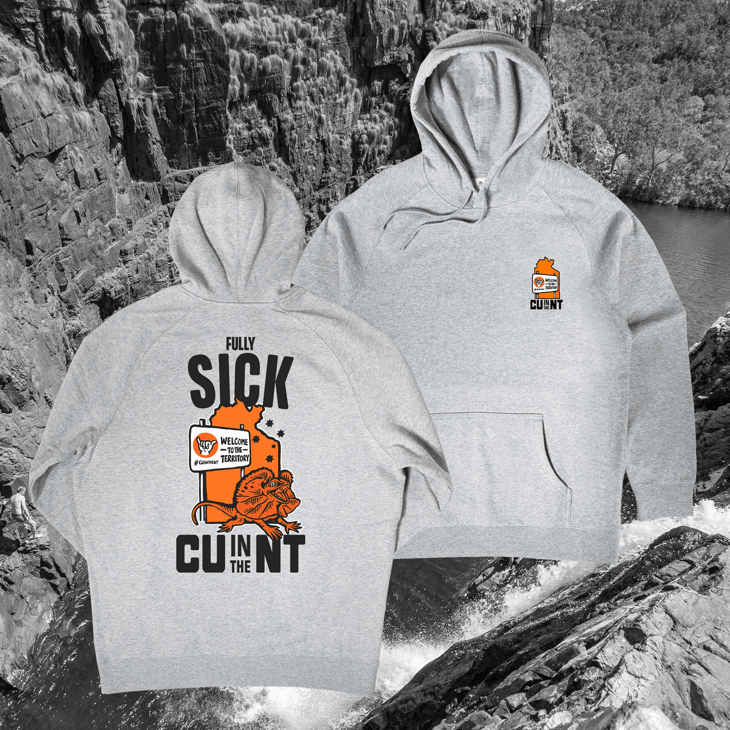 Fully Sick Hoodie Grey Hoodie NT Unofficial