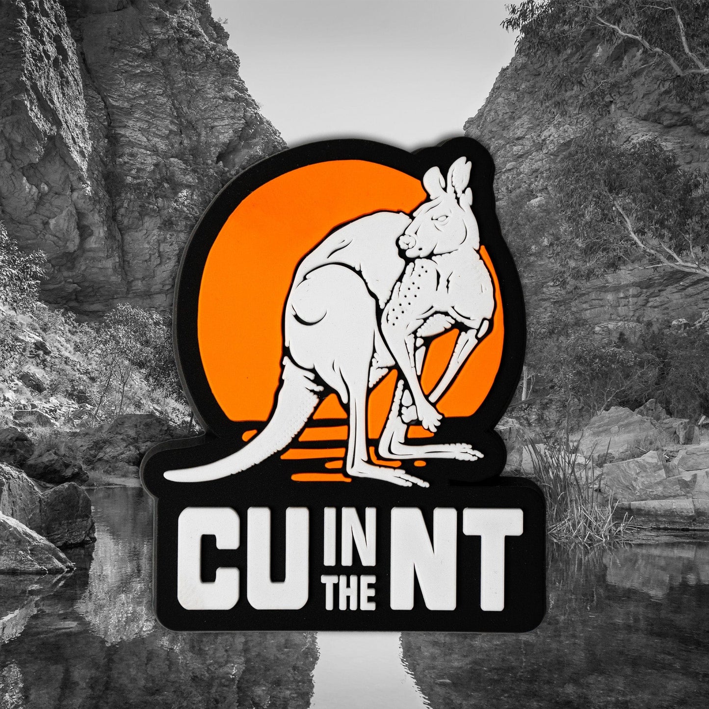 NT Roo V2 Magnet Magnet NT Unofficial