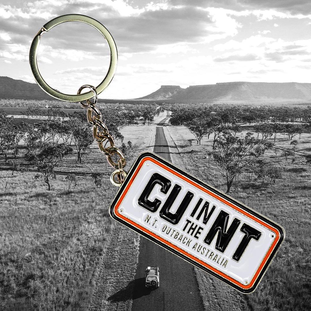 Number Plate Key Ring Keychain NT Unofficial