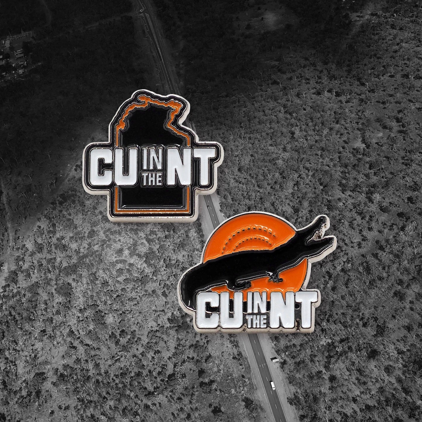 CU in the NT Hat Pins Accessories NT Unofficial