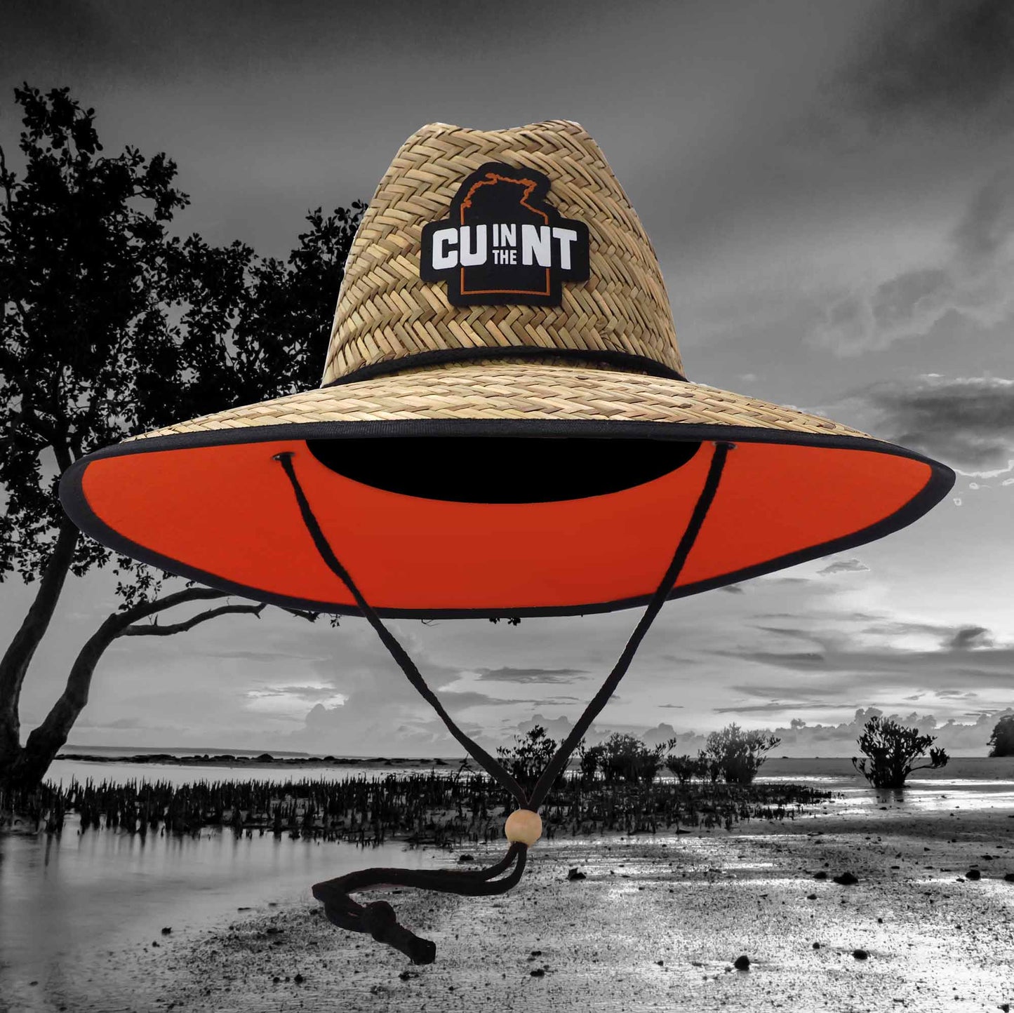 CU in the NT Straw Hat Accessories NT Unofficial