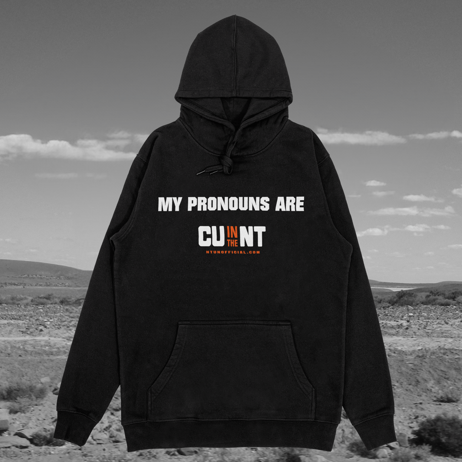 Territory Pronouns Hoodie Hoodie NT Unofficial